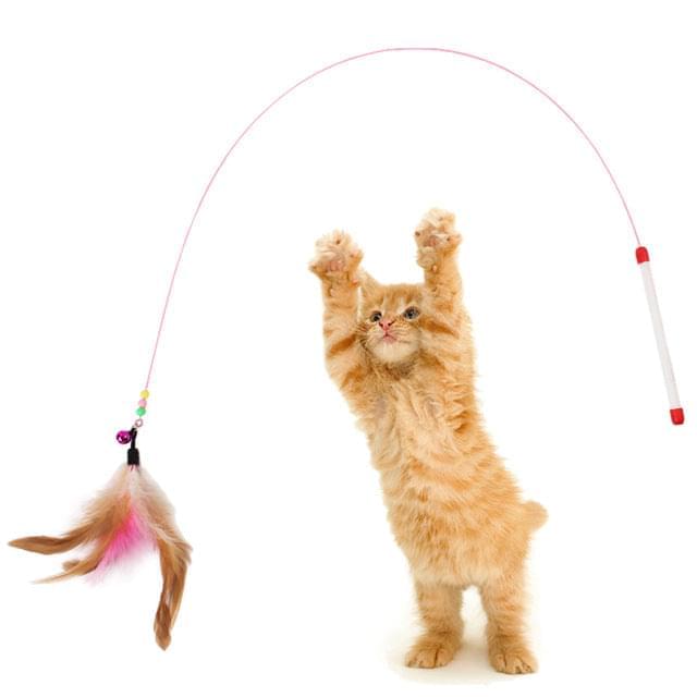 1pc Cat Toy Stick Feather Wand