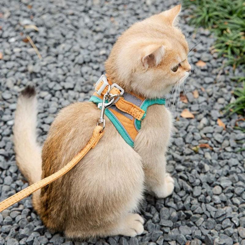 Cat Harness Leash